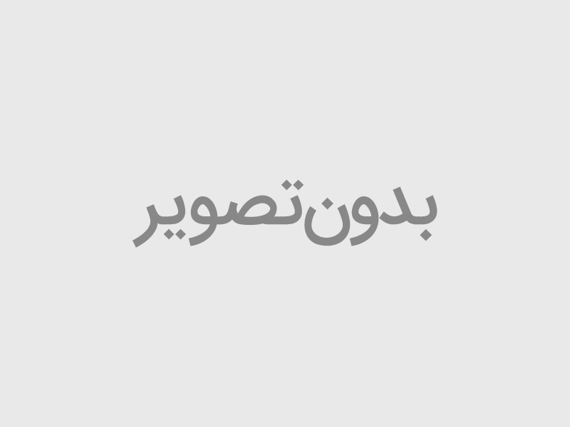 درخواست تمدید چک های سررسید 1405/03/15